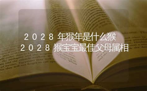 2028是什么年